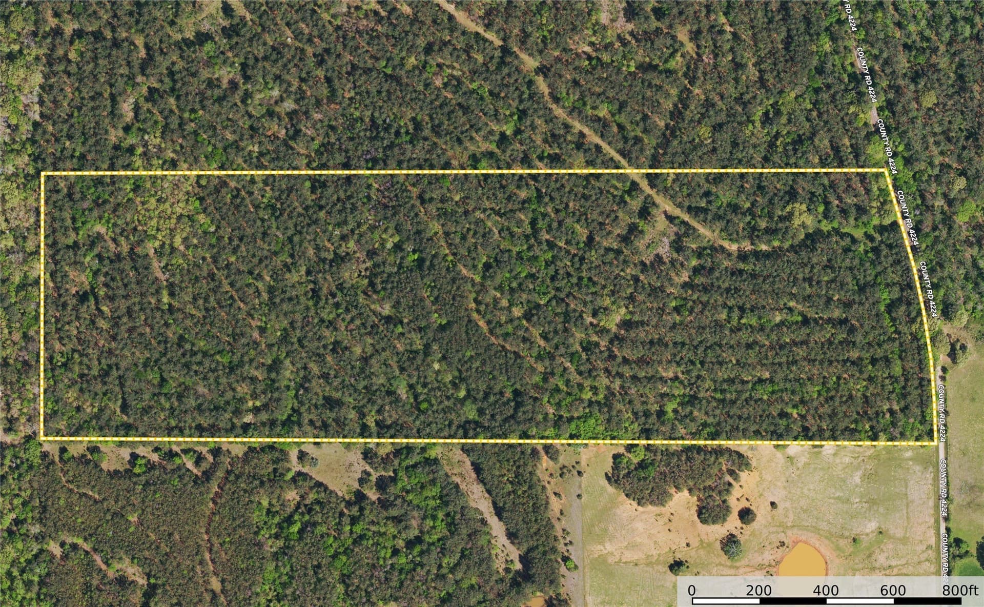 48 acres in Henderson County - photo 10