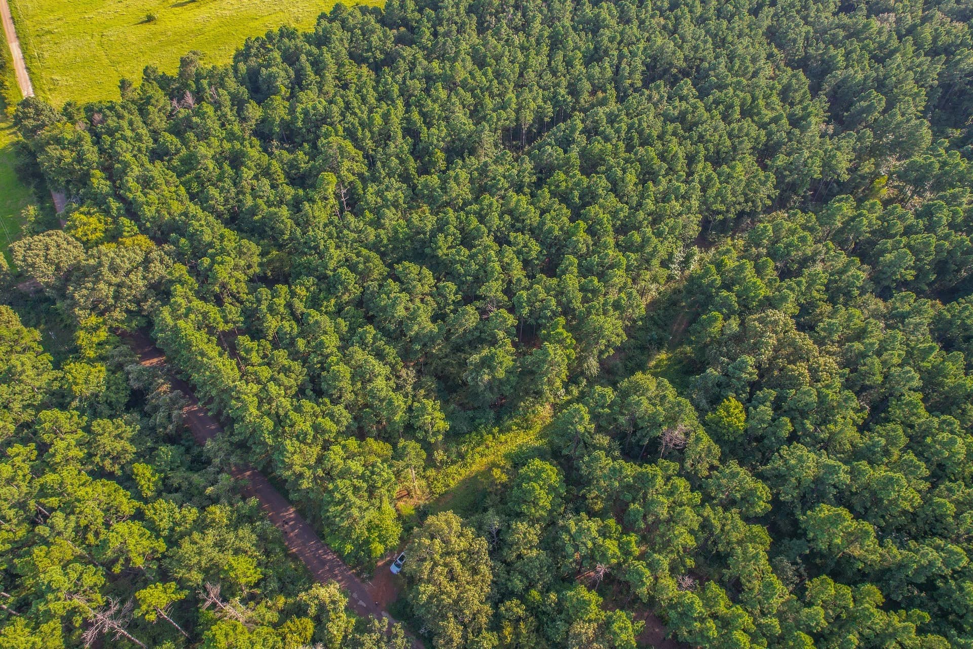48 acres in Henderson County - photo 3