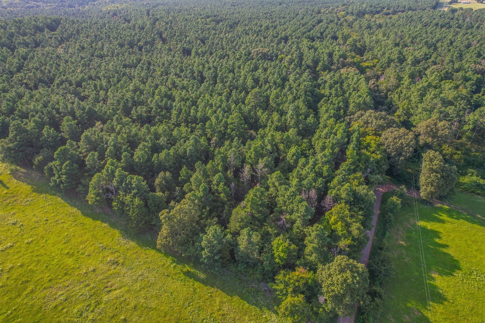 48 acres in Henderson County - photo 2