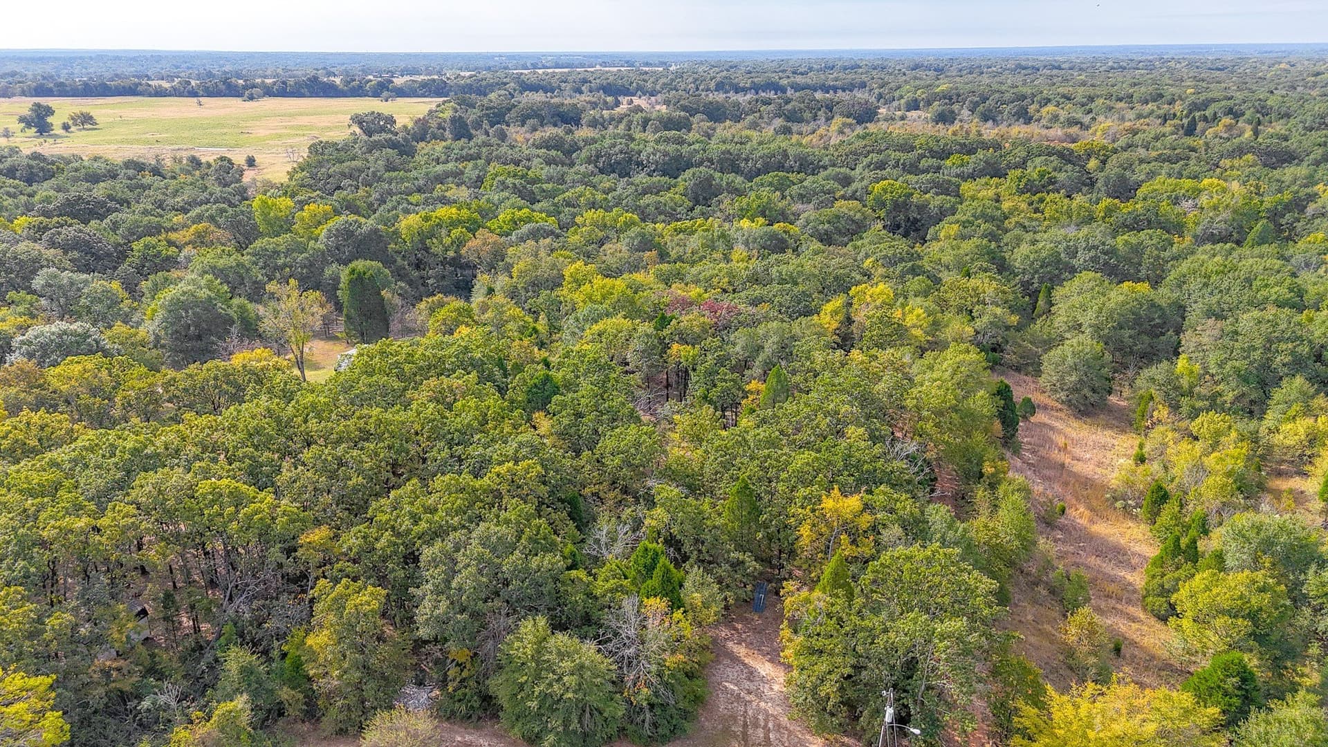 3.82 acres in Henderson County - photo 21