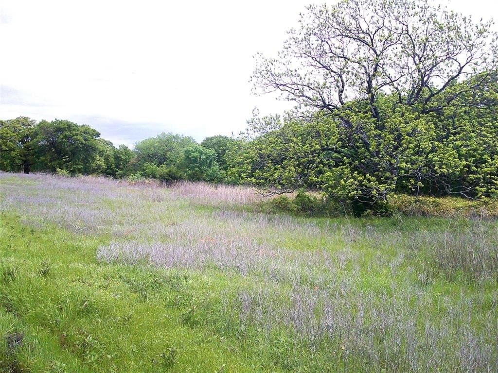 17 acres in Montague County gallery image 2