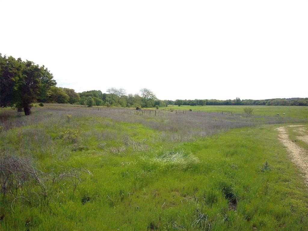 17 acres in Montague County featured view