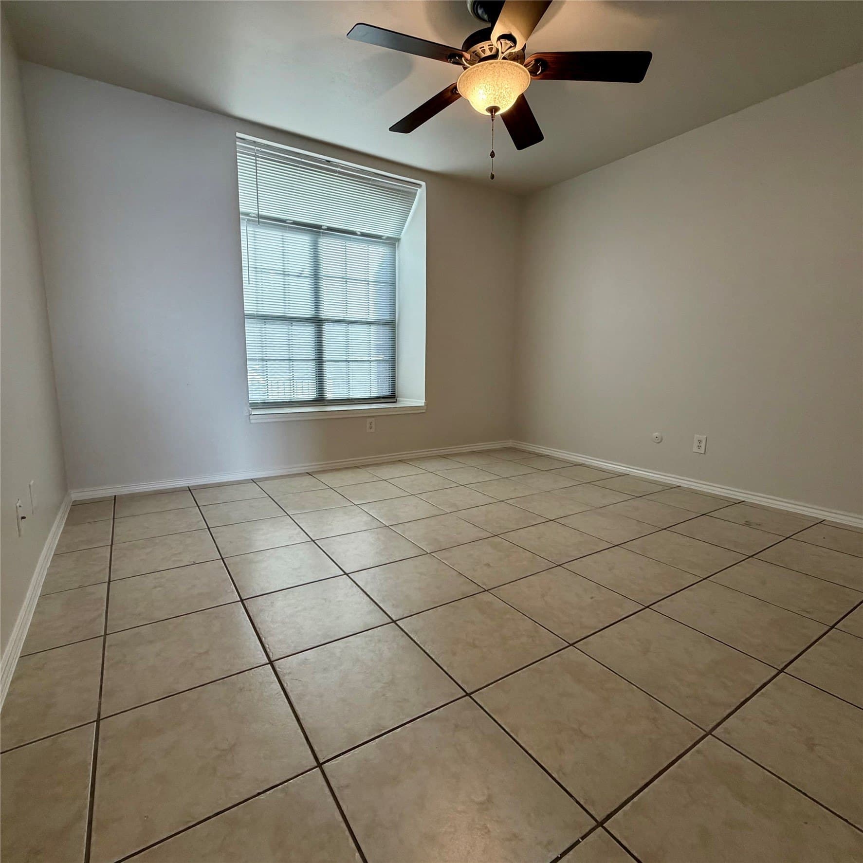 13.55 acres in Dallas County - photo 9