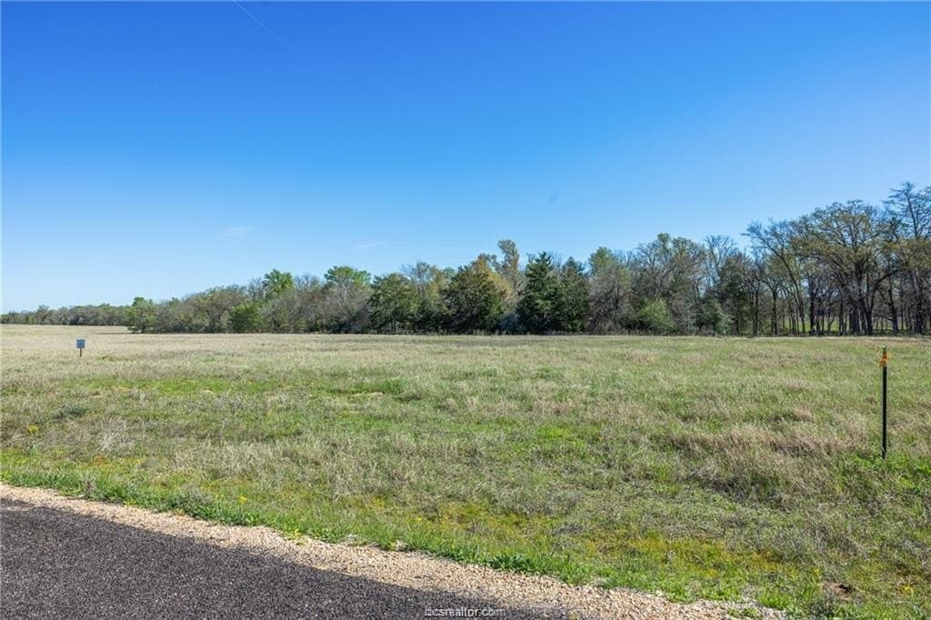 7 acres in Milam County gallery image 4