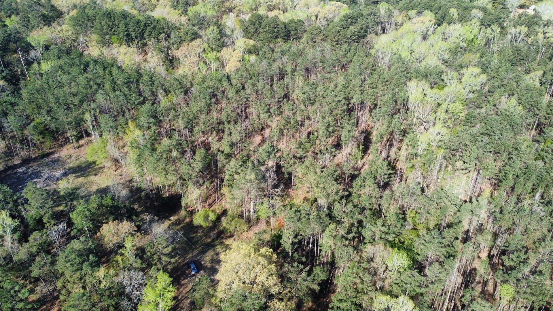 74.45 acres in Smith County - photo 35