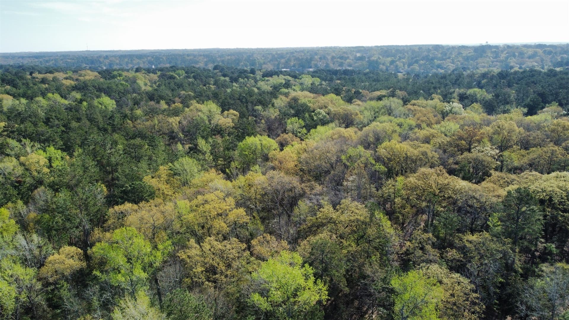 74.45 acres in Smith County - photo 33