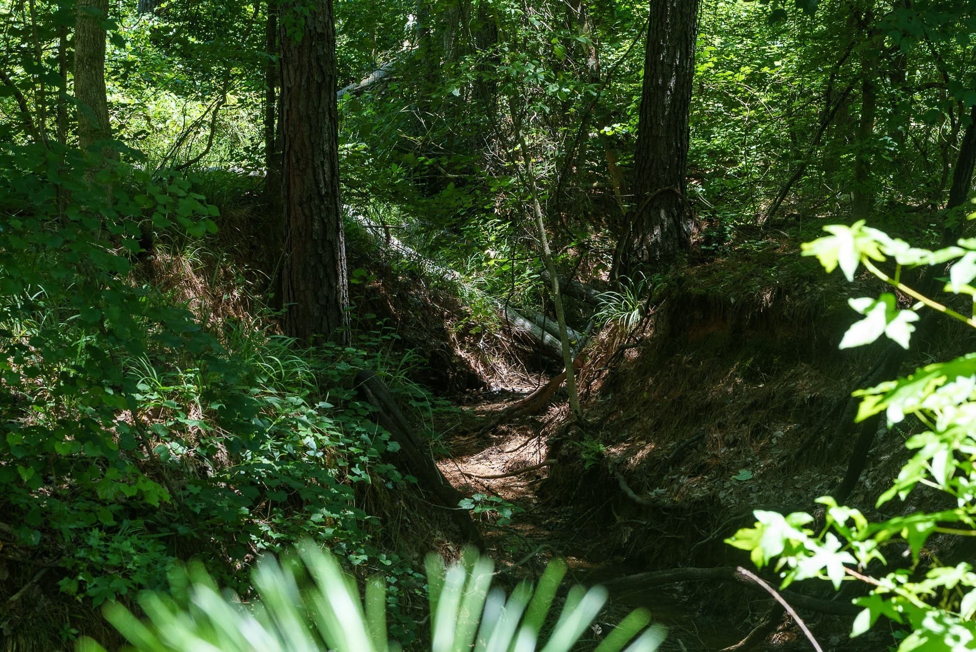 74.45 acres in Smith County - photo 13