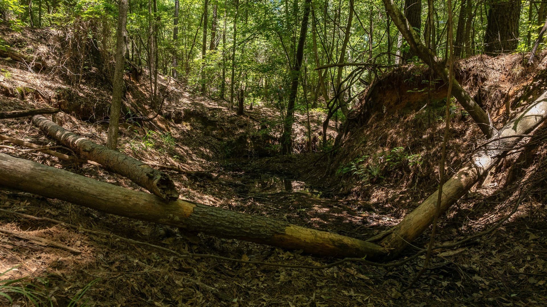 74.45 acres in Smith County - photo 17