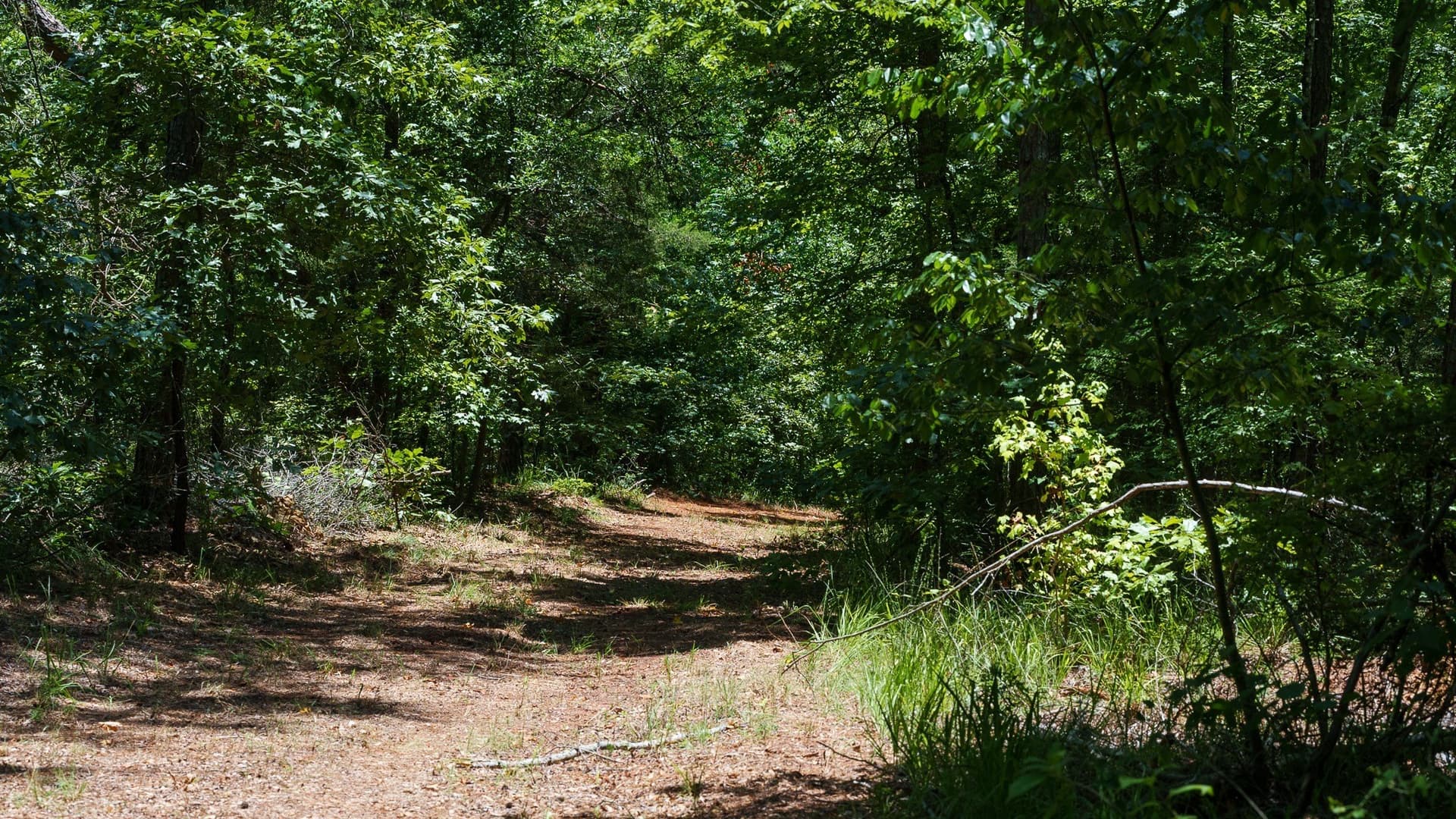 74.45 acres in Smith County - photo 3