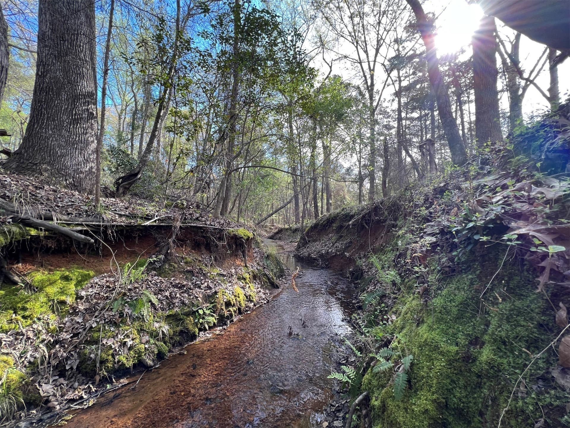 74.45 acres in Smith County gallery image 3