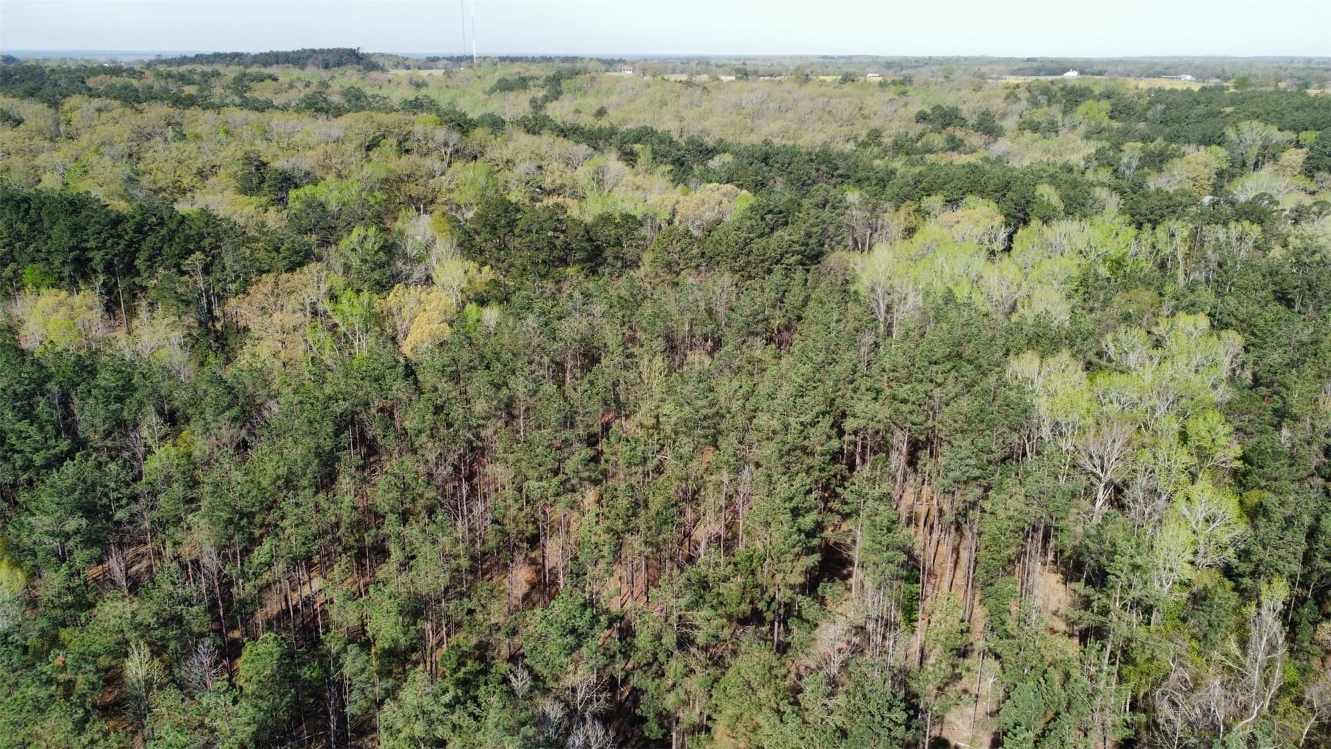 74.45 acres in Smith County - photo 36
