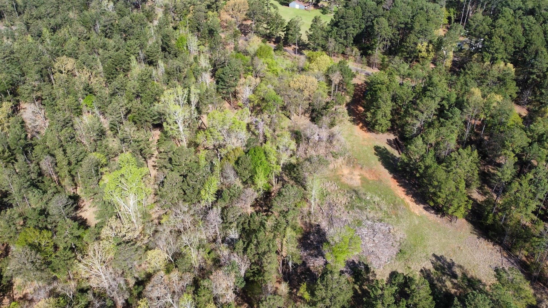 74.45 acres in Smith County - photo 29