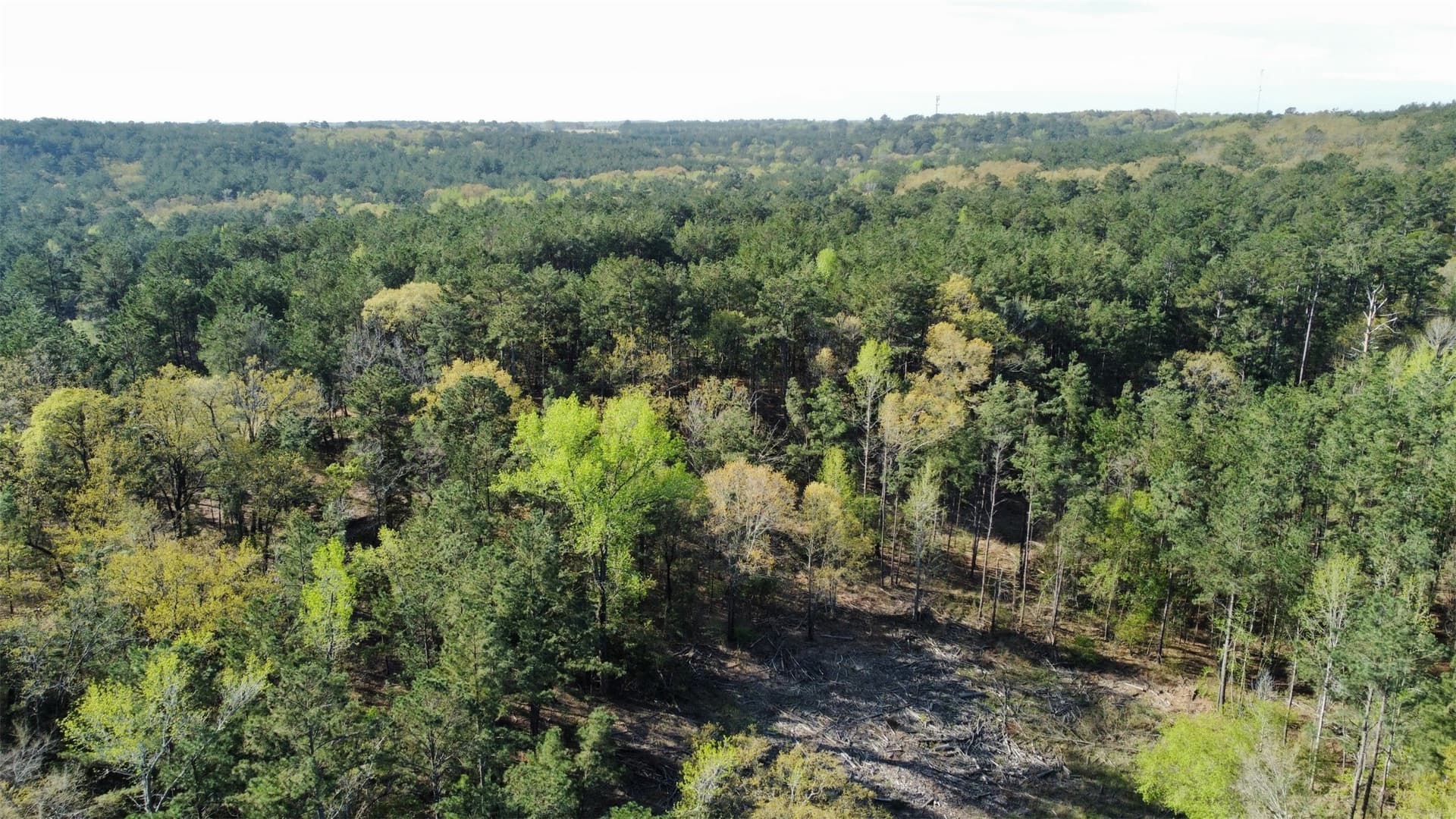 74.45 acres in Smith County - photo 30