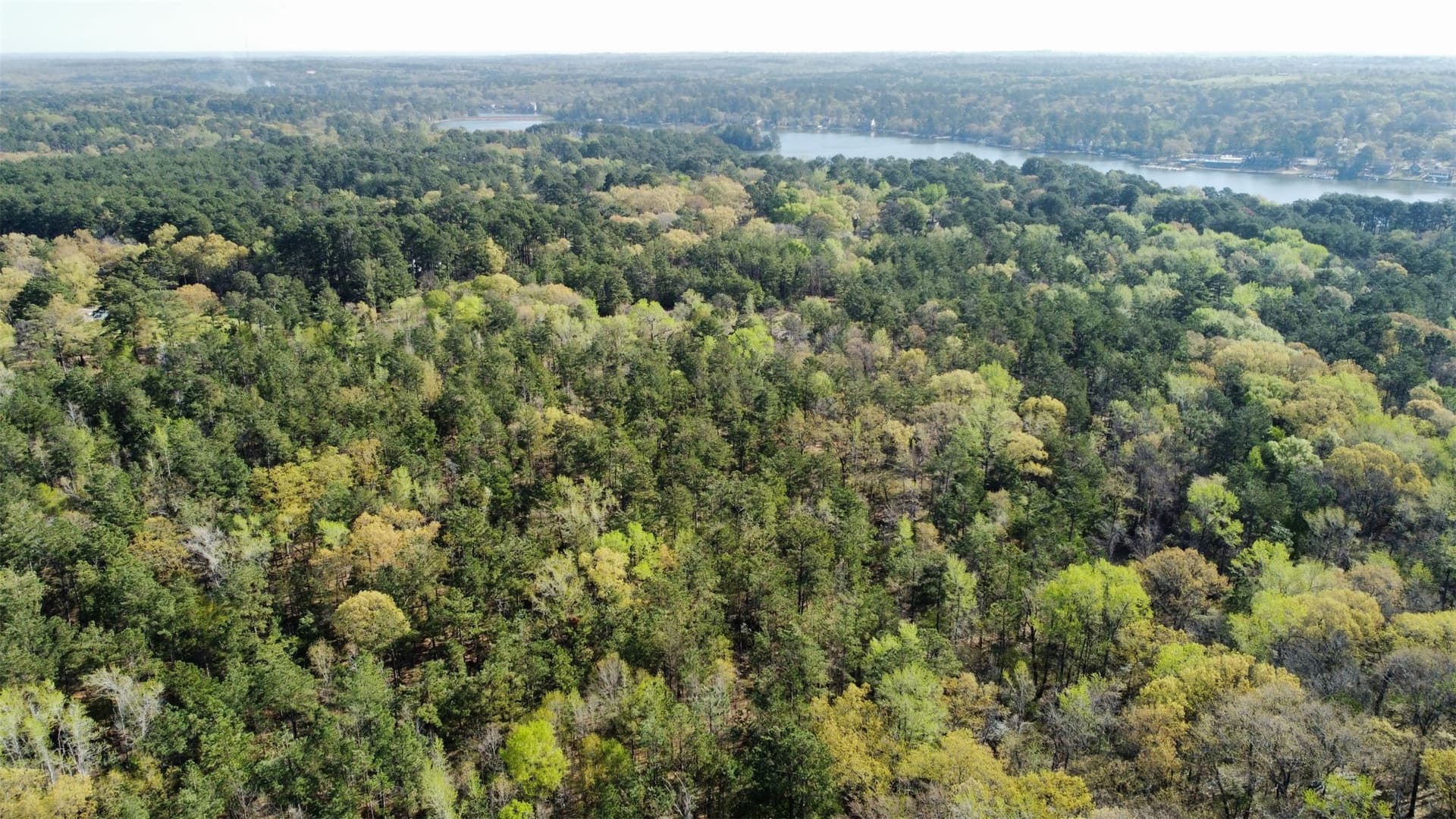 74.45 acres in Smith County - photo 27