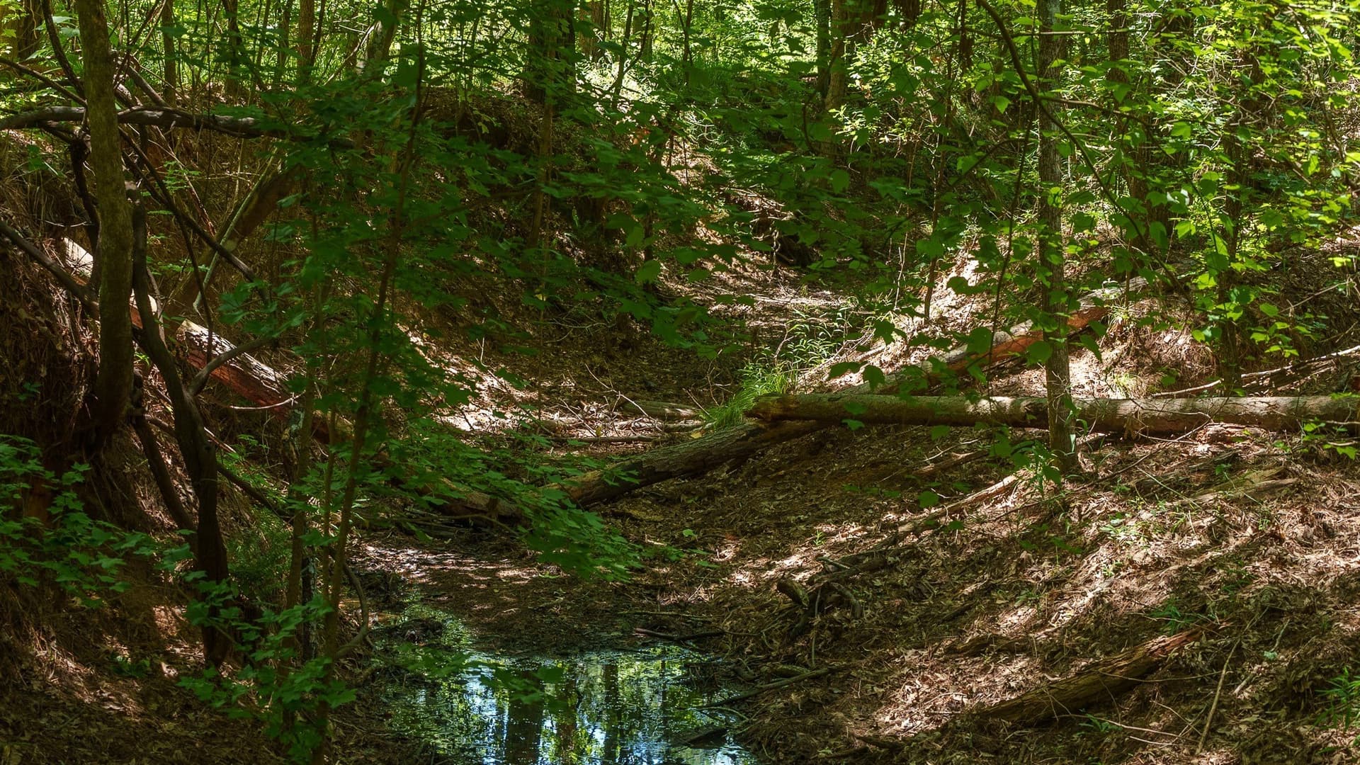 74.45 acres in Smith County - photo 9