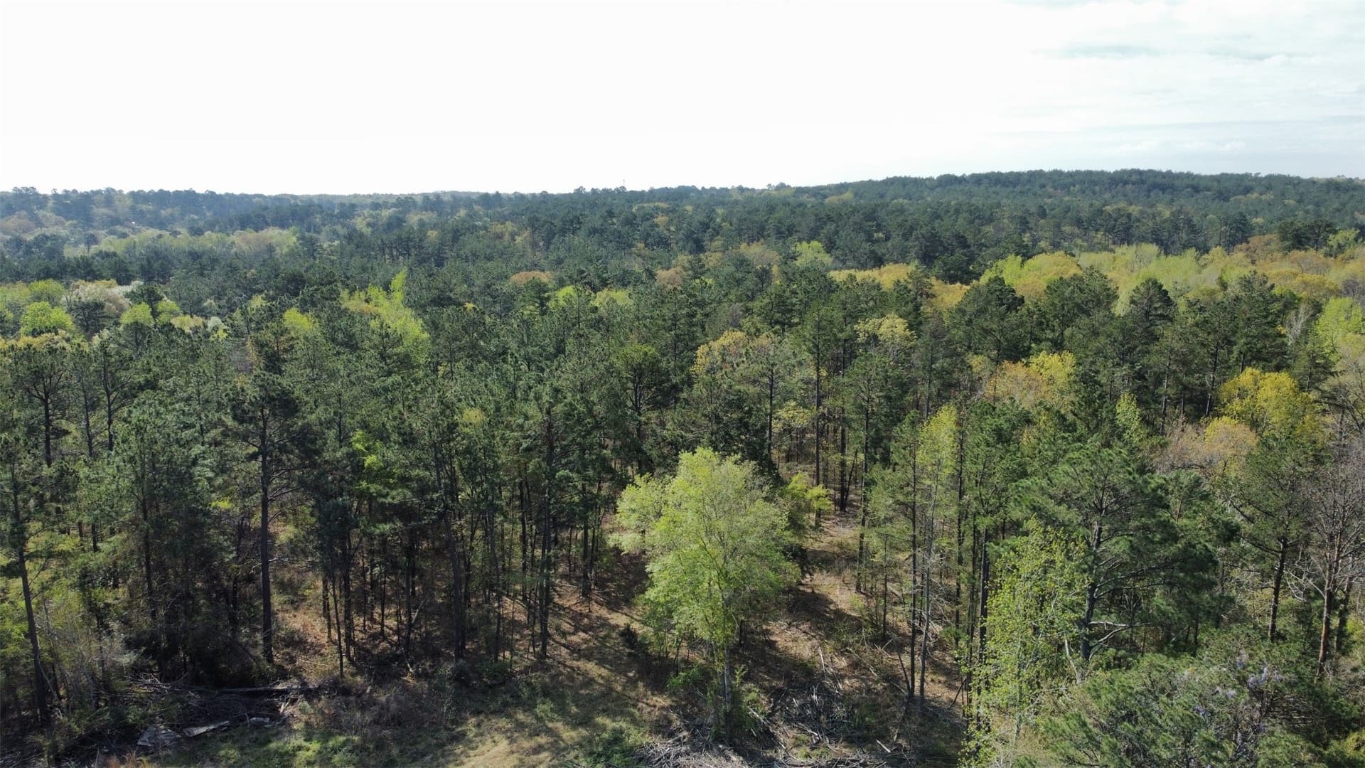 74.45 acres in Smith County - photo 25
