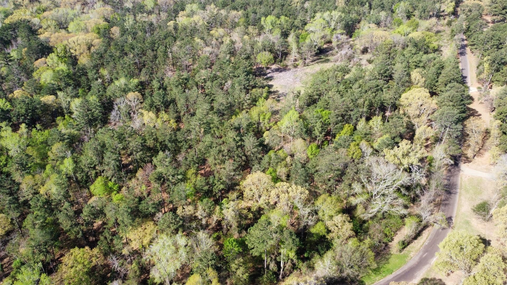 74.45 acres in Smith County - photo 38