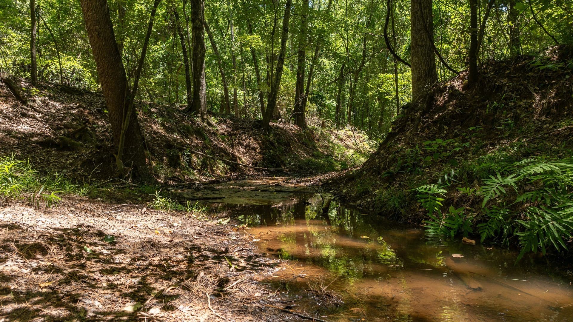 74.45 acres in Smith County - photo 11
