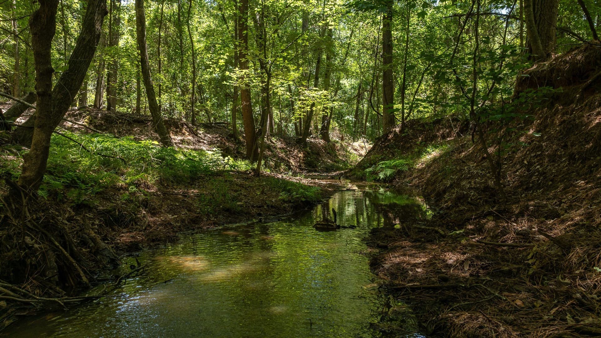 74.45 acres in Smith County - photo 12