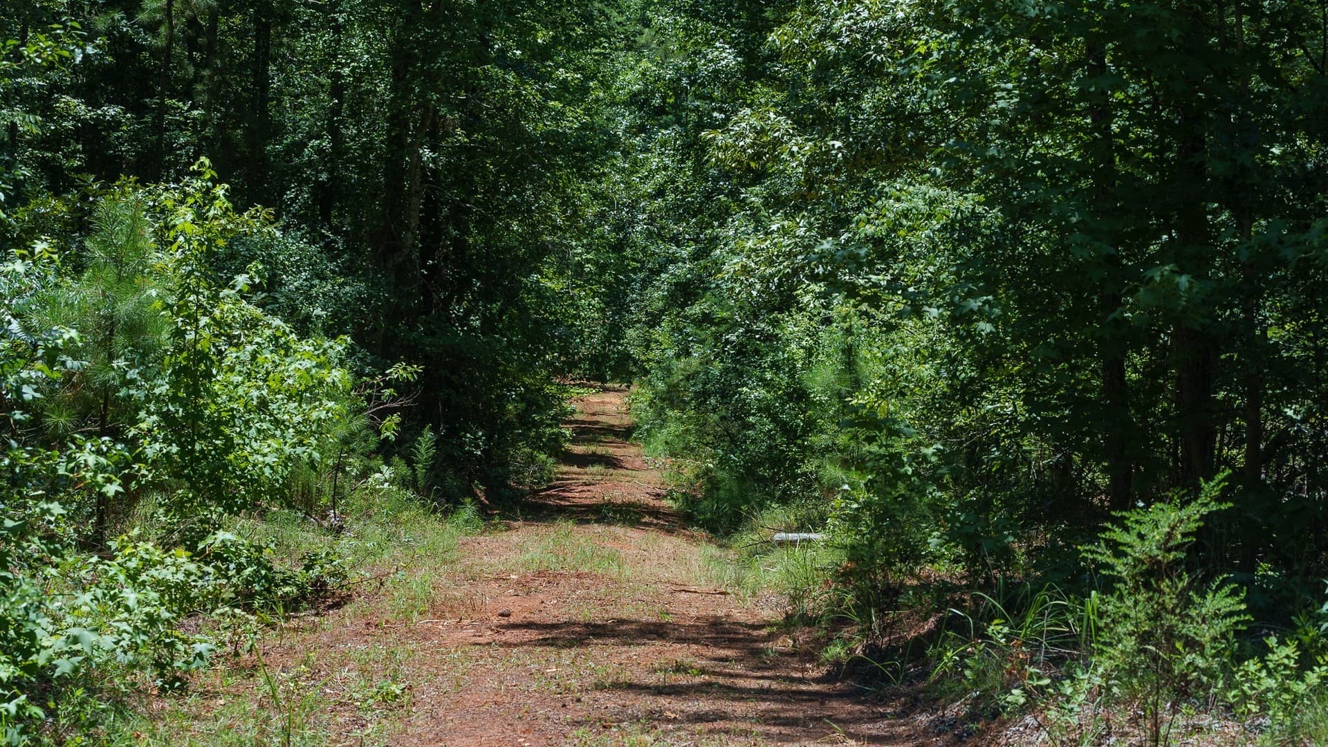 74.45 acres in Smith County - photo 7