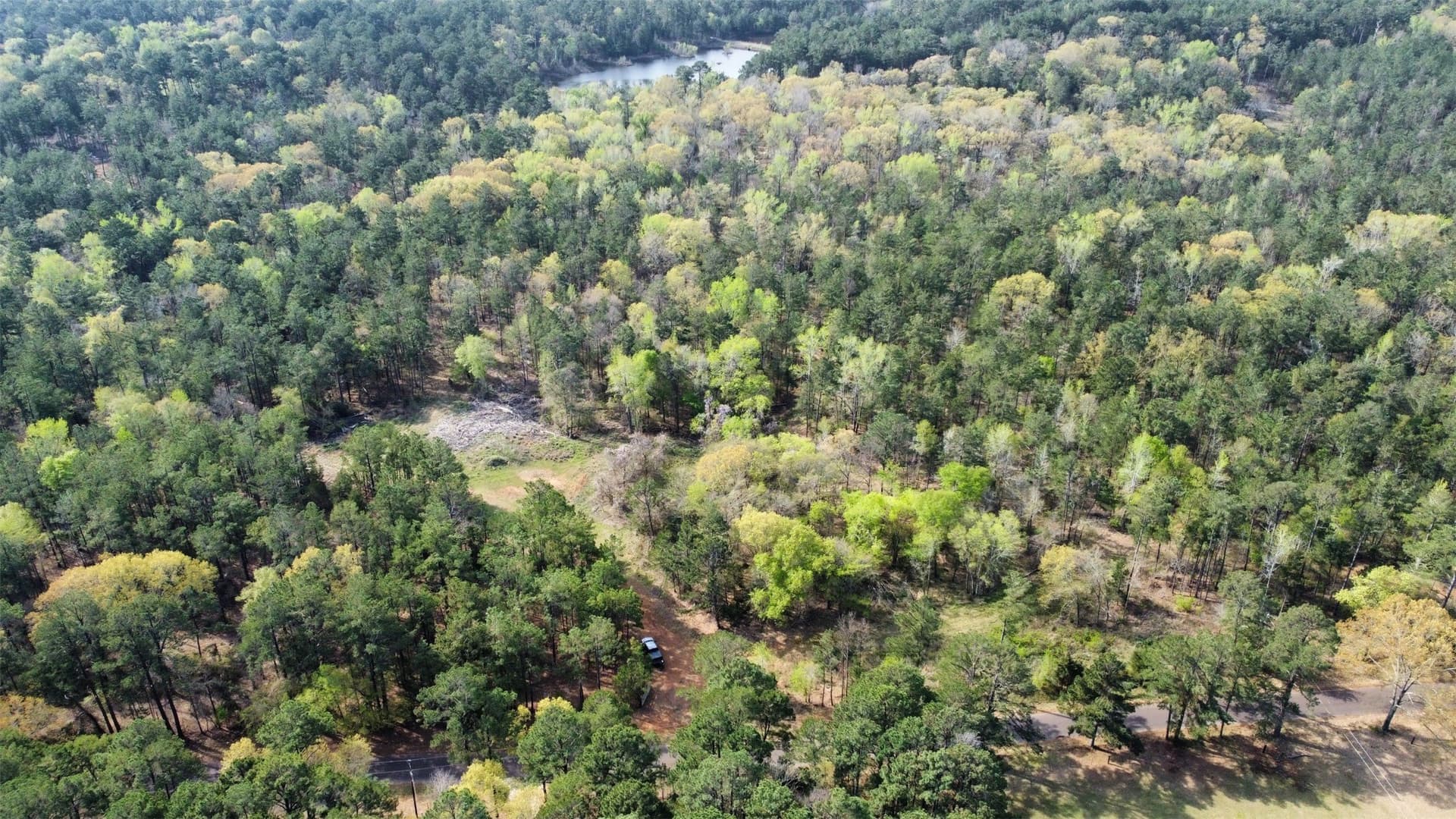 74.45 acres in Smith County - photo 28