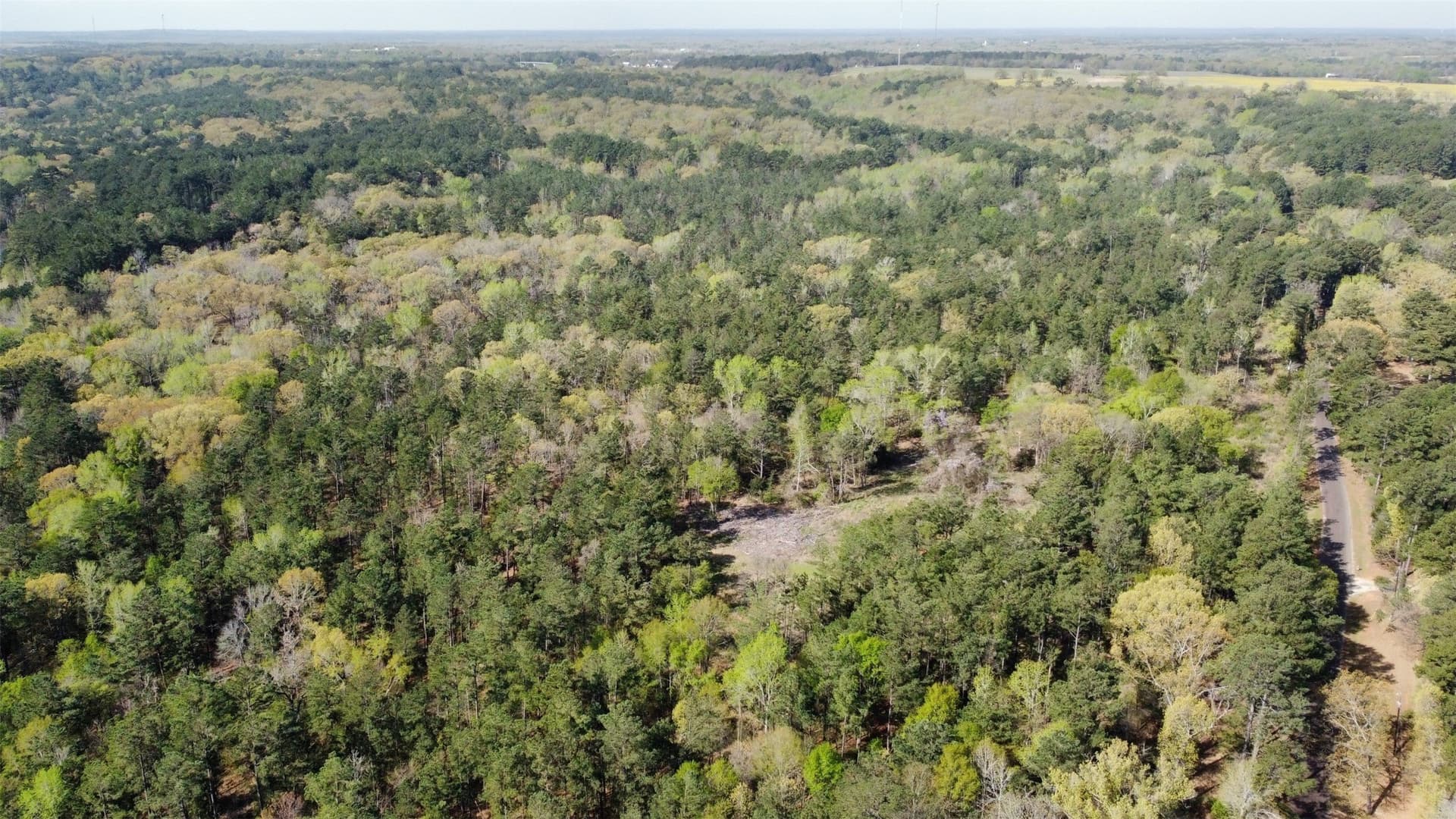 74.45 acres in Smith County - photo 37