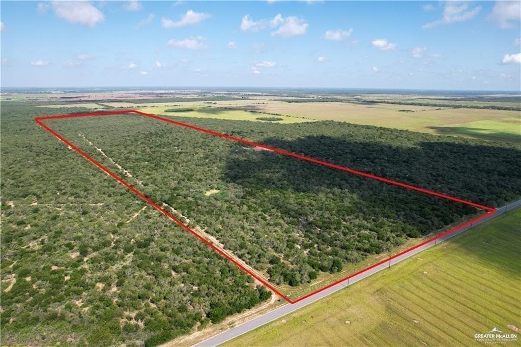 66.67 acres in Hidalgo County gallery image 3