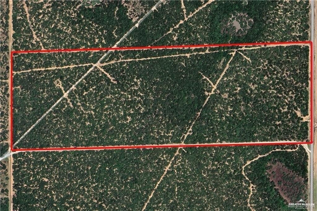 66.67 acres in Hidalgo County gallery image 4