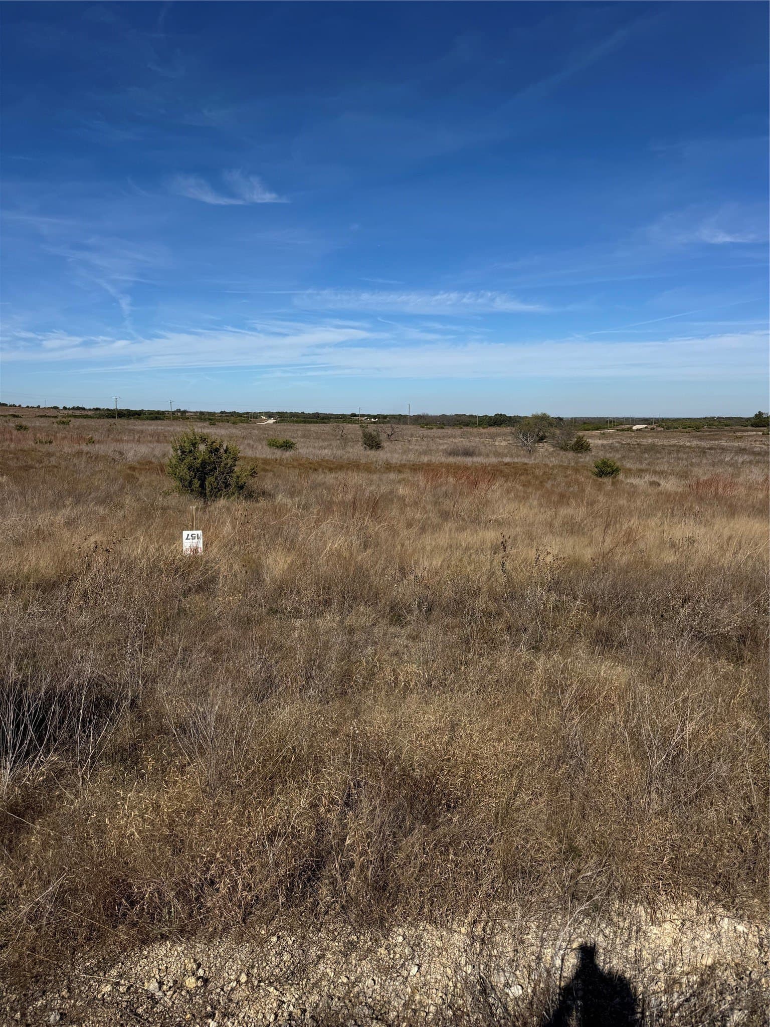 3.93 acres in Erath County - photo 9