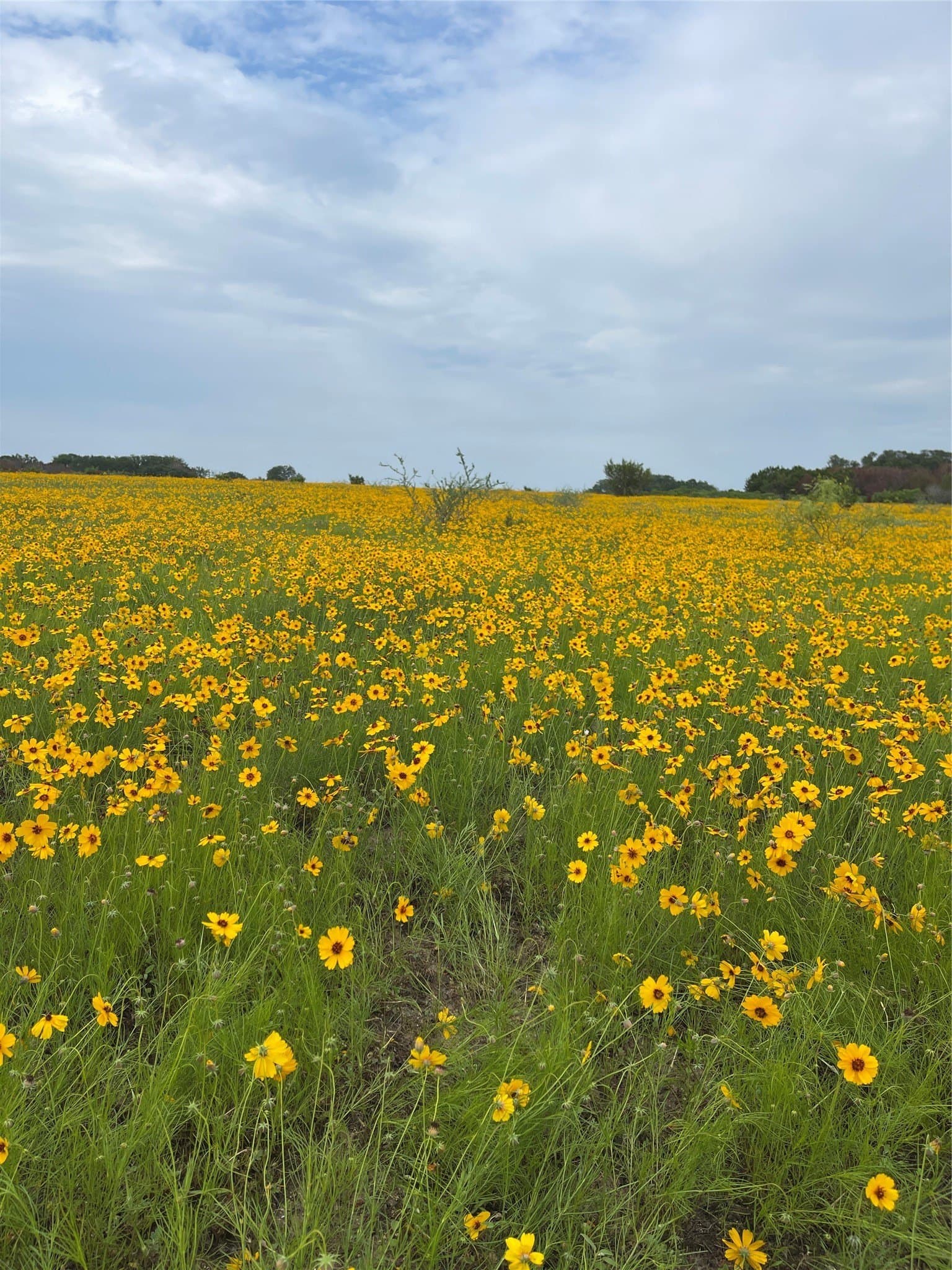 3.93 acres in Erath County - photo 13
