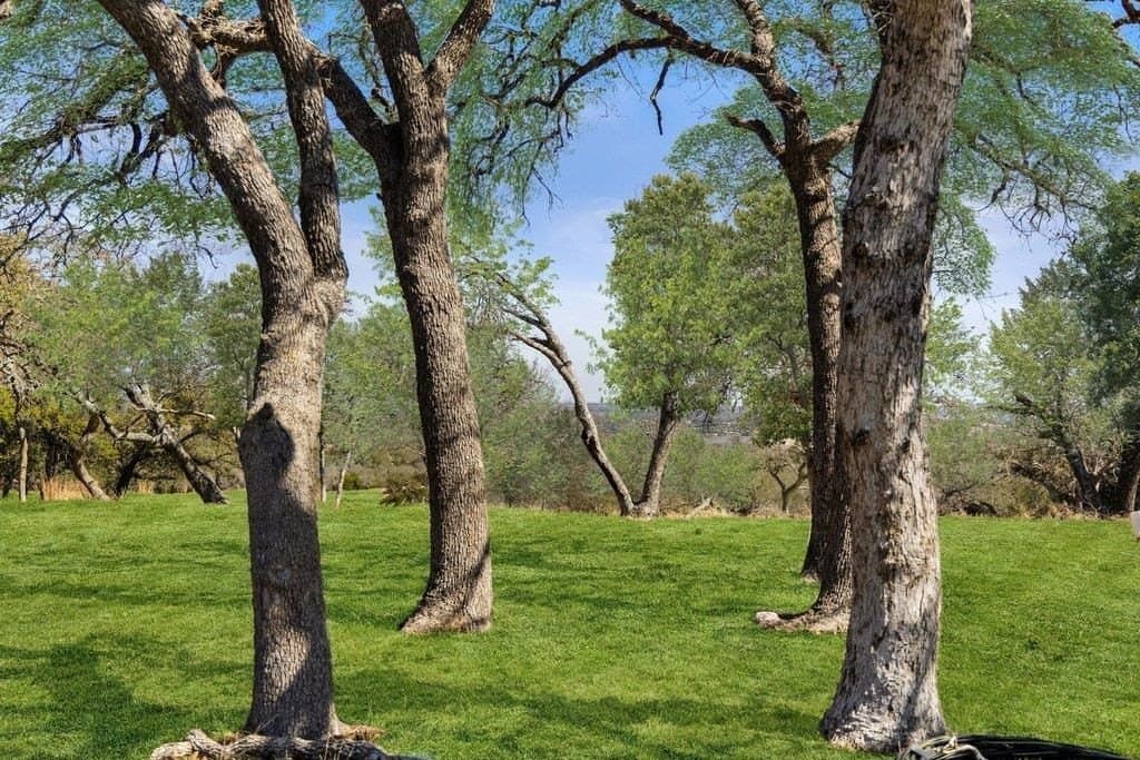 10 acres in Gillespie County - photo 39