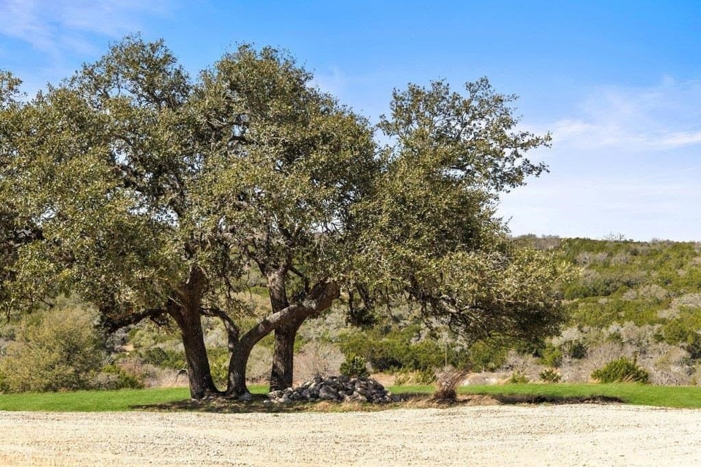 10 acres in Gillespie County - photo 32