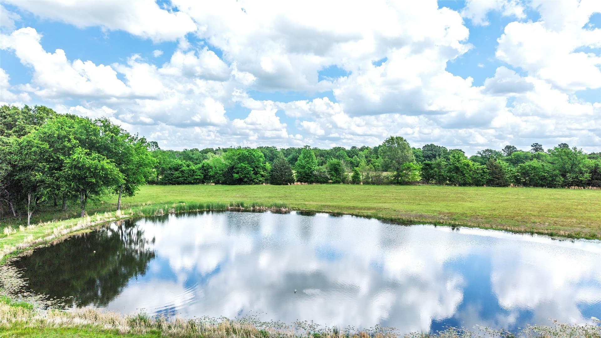 9.5 acres in Wood County - photo 16