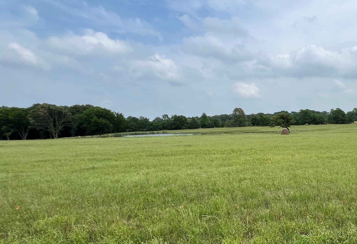 9.5 acres in Wood County - photo 8