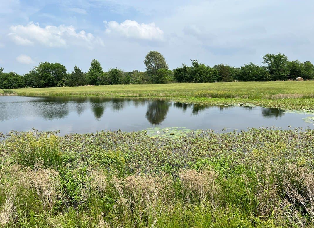 9.5 acres in Wood County - photo 4