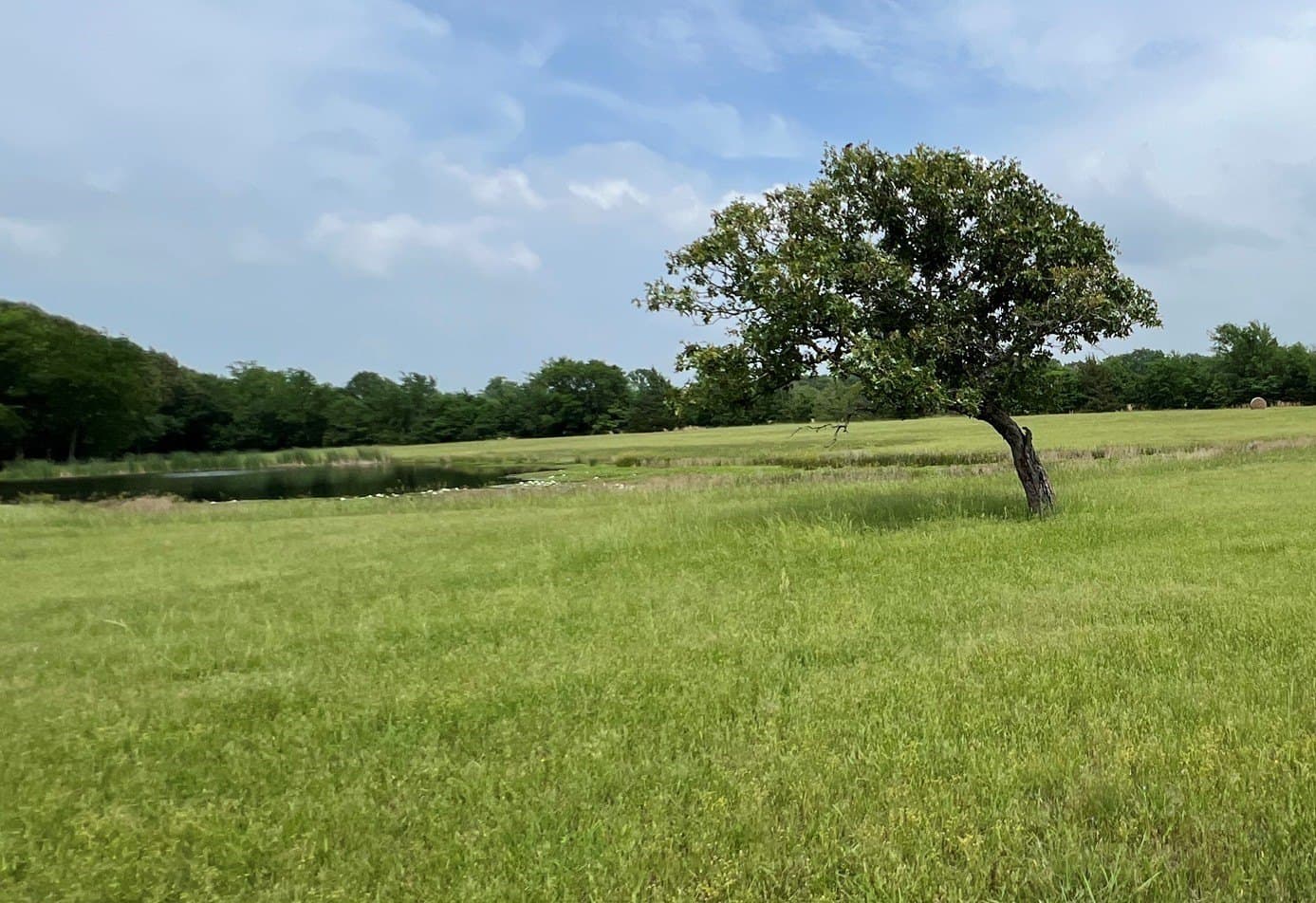 9.5 acres in Wood County - photo 5