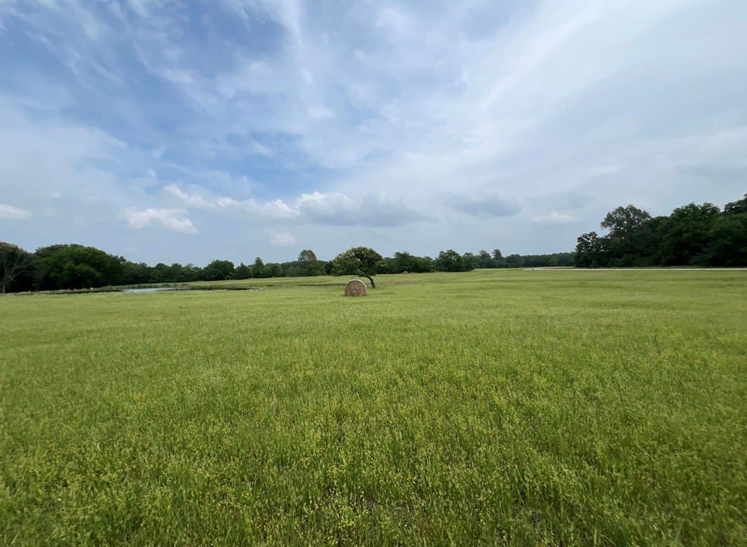 9.5 acres in Wood County - photo 7