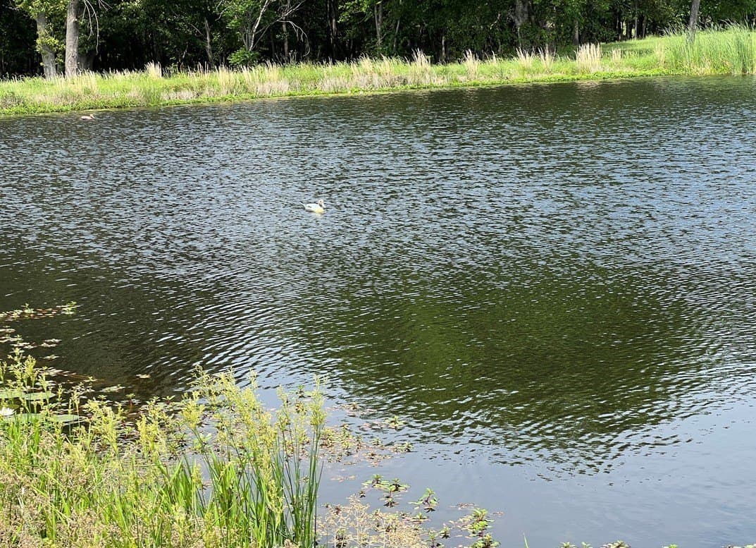 9.5 acres in Wood County - photo 17