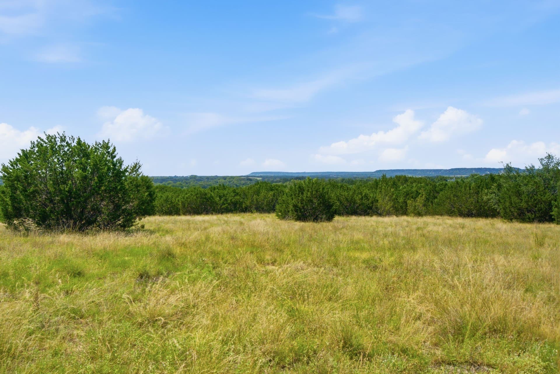 89 acres in Bosque County - photo 6