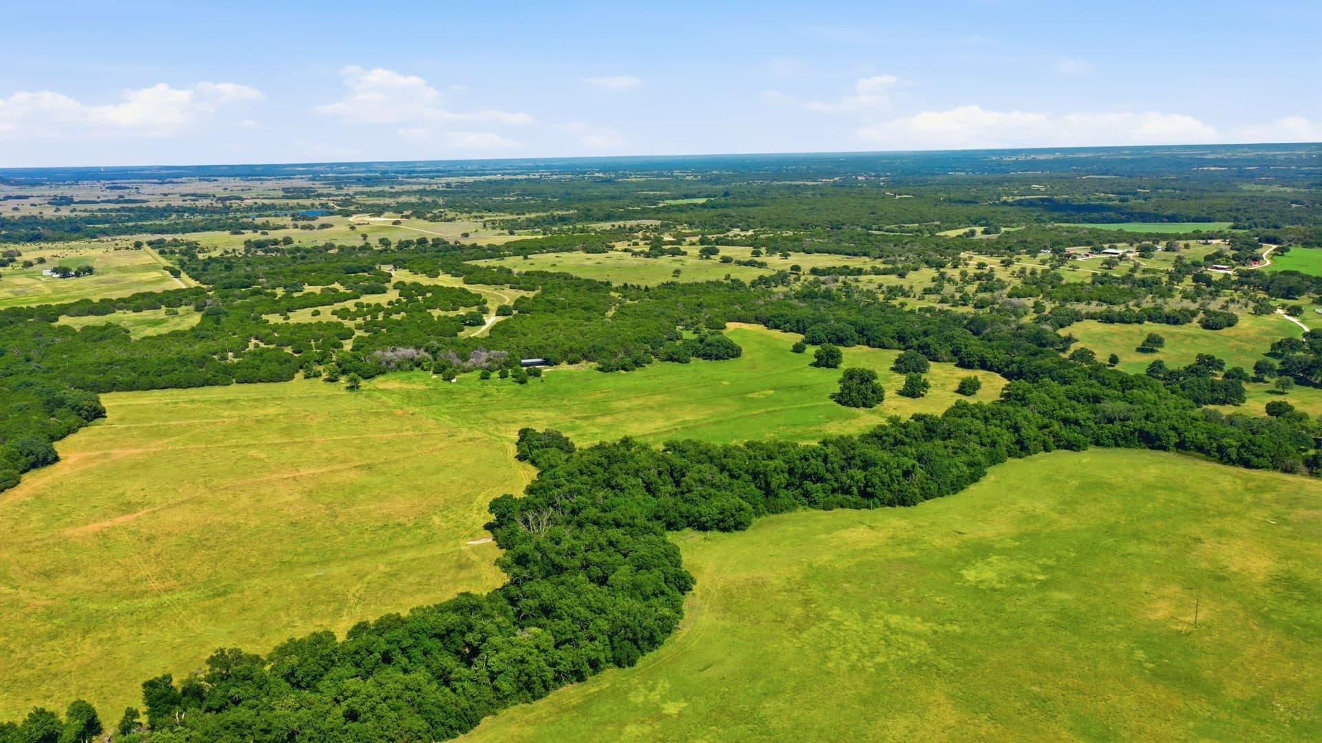 89 acres in Bosque County - photo 25
