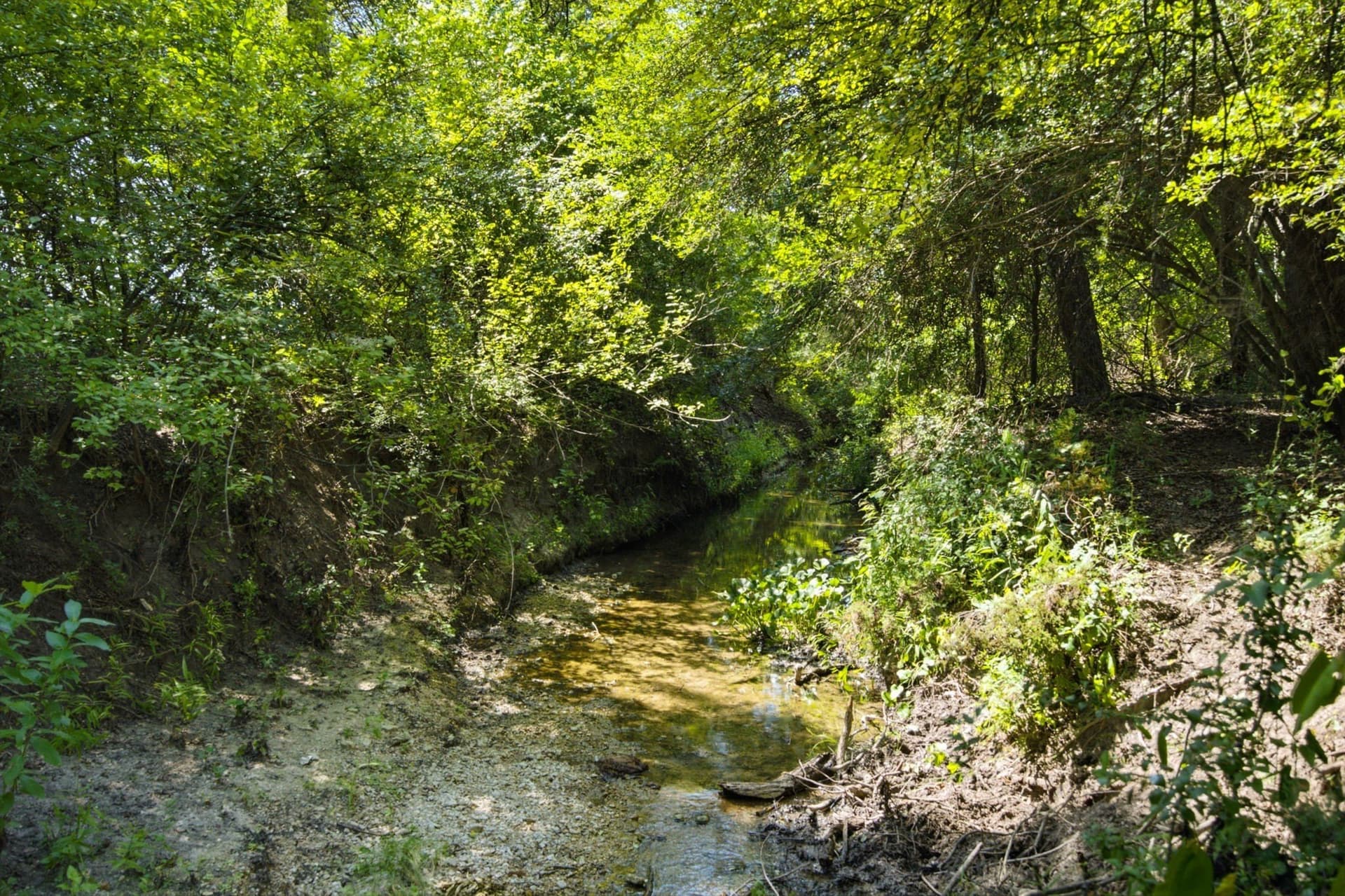 89 acres in Bosque County - photo 15