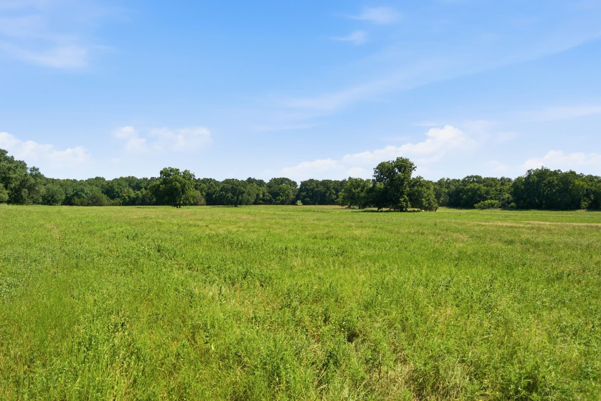 89 acres in Bosque County - photo 11