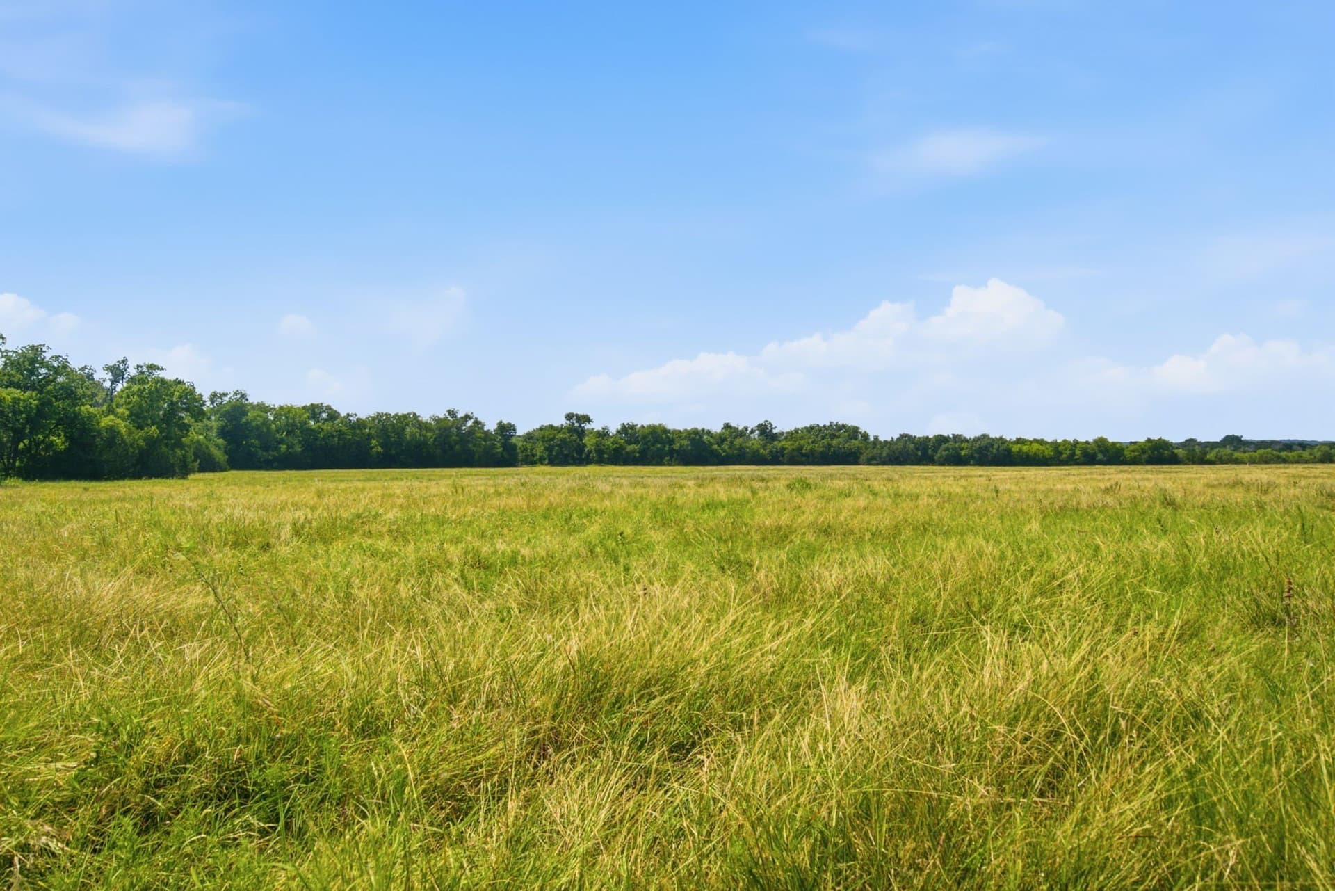 89 acres in Bosque County - photo 14