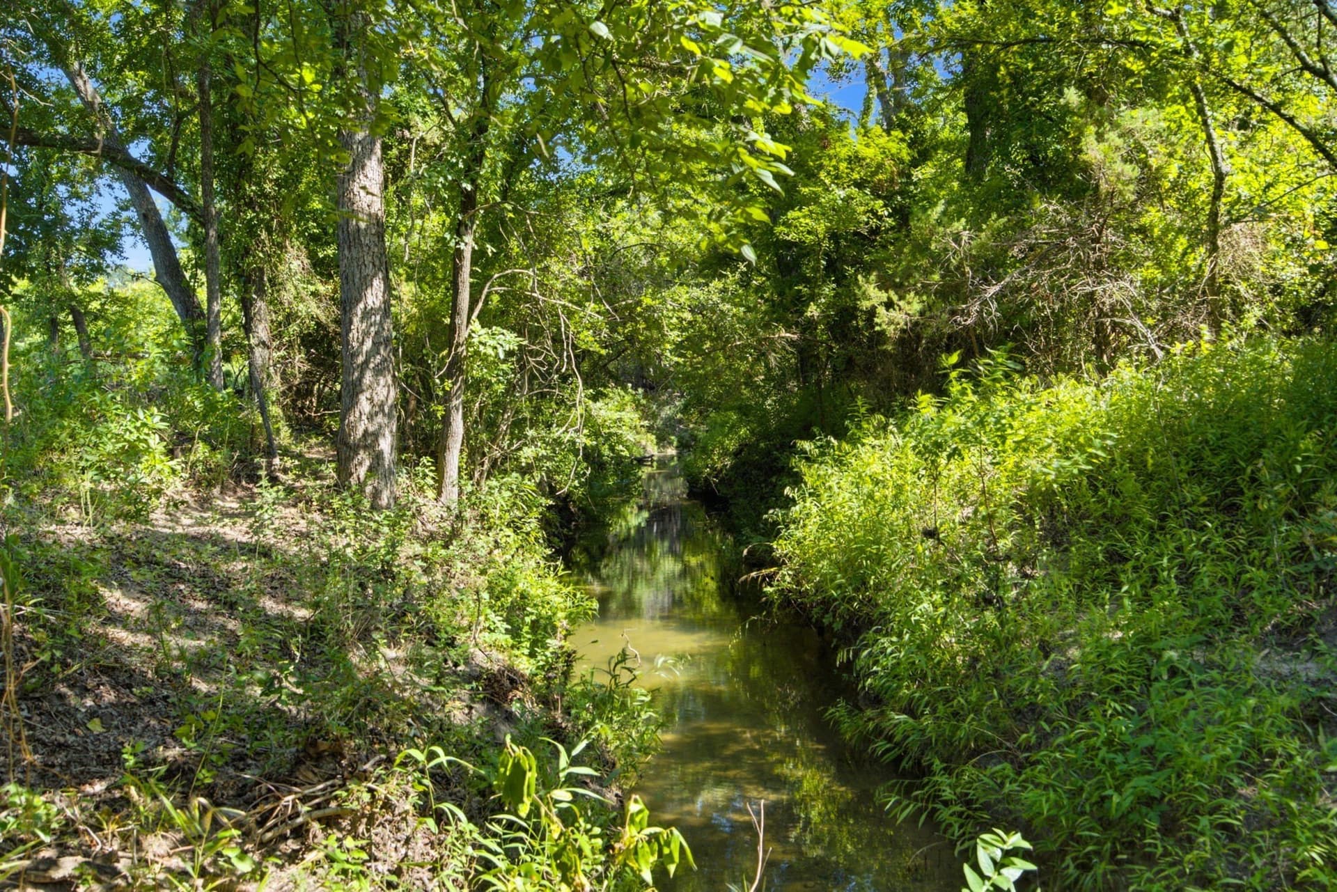 89 acres in Bosque County - photo 16