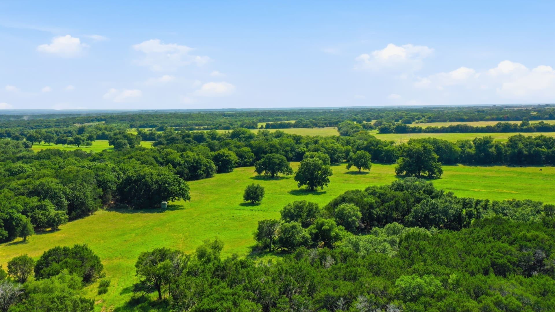 89 acres in Bosque County - photo 38