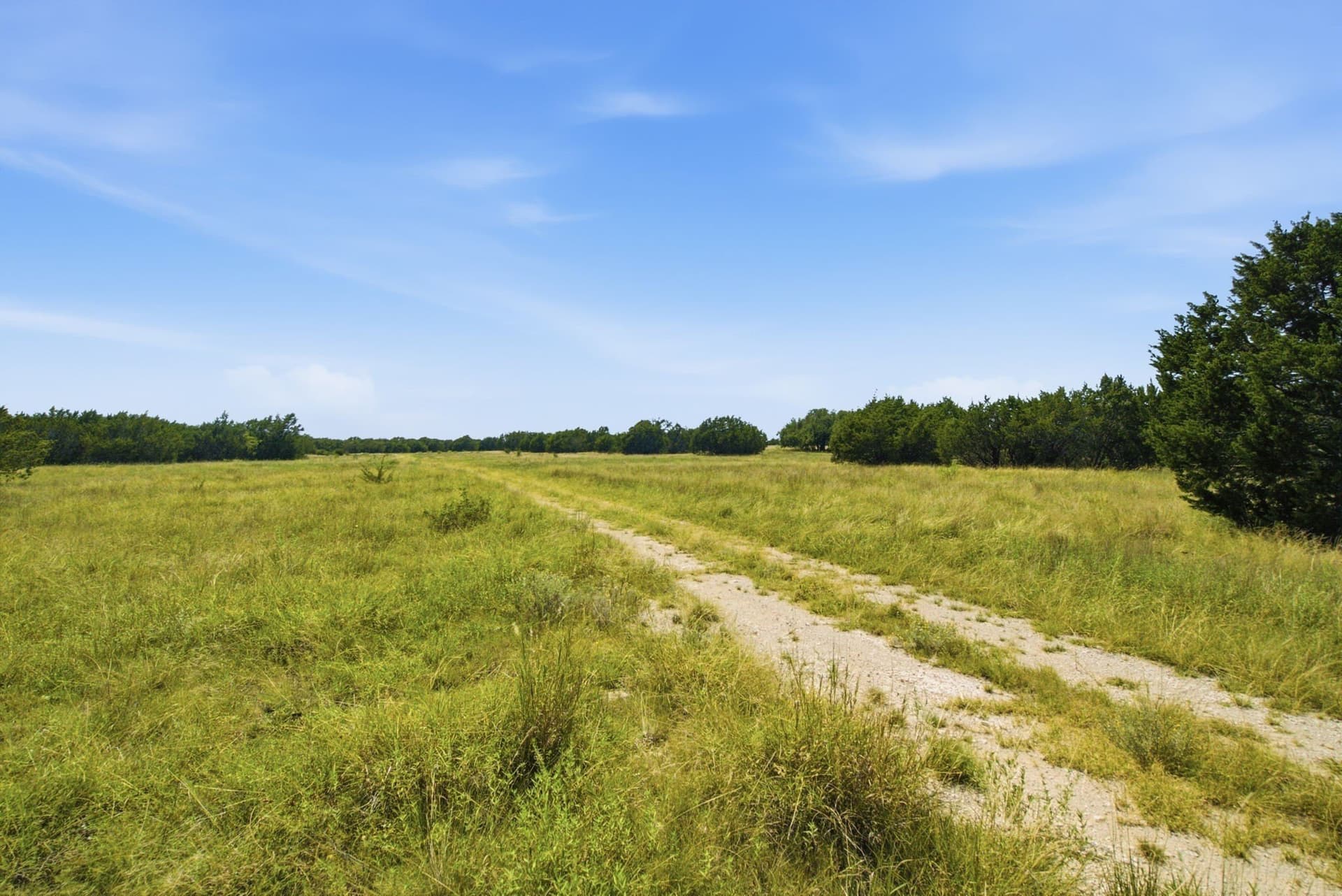 89 acres in Bosque County gallery image 2