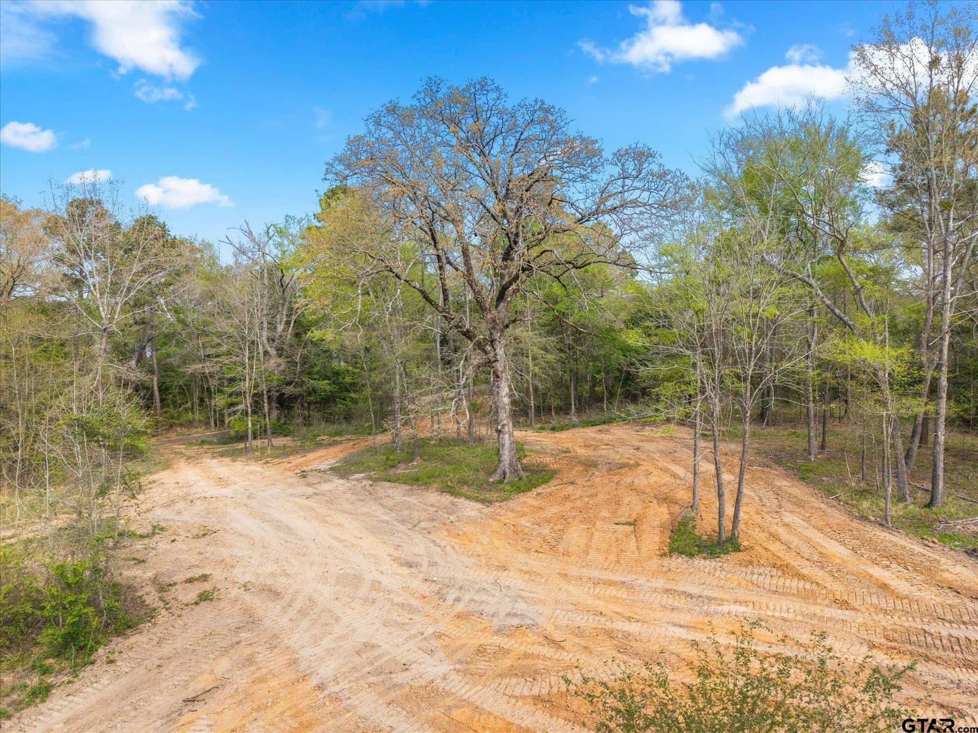 3.5 acres in Upshur County gallery image 3