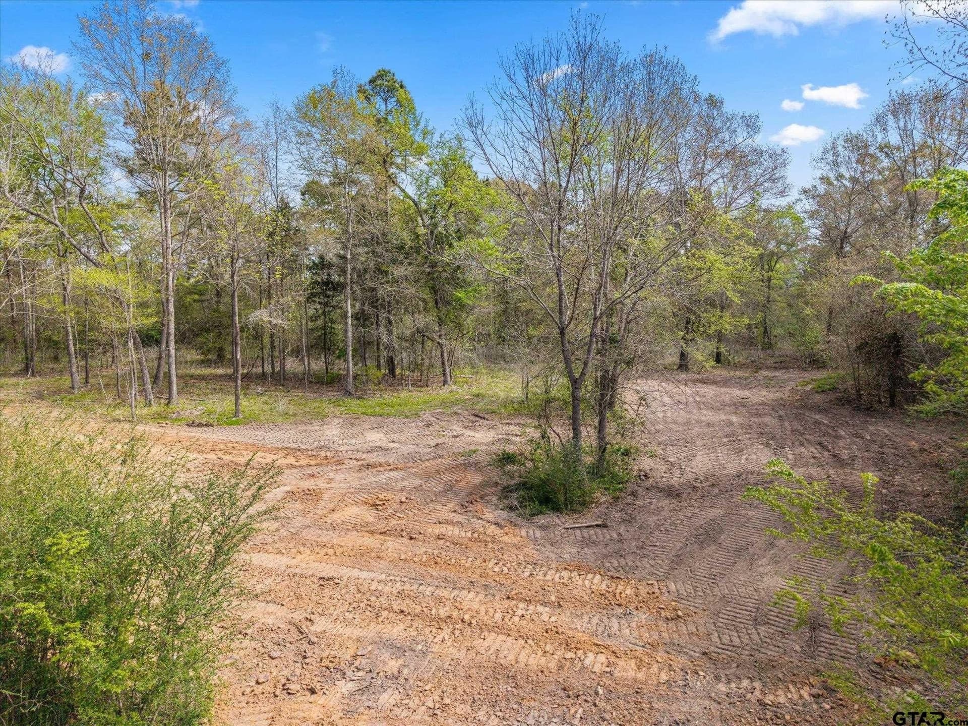 3.5 acres in Upshur County gallery image 2