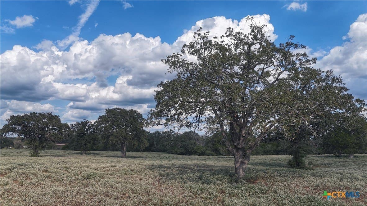 10.24 acres in Gonzales County - photo 10