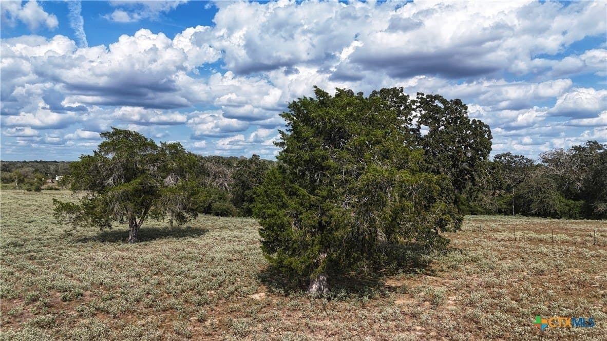 10.24 acres in Gonzales County - photo 7